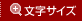 文字サイズ