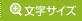 文字サイズ