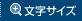 文字サイズ
