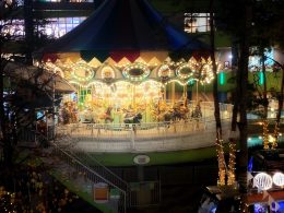 保護中: 年内の現場作業を終えて