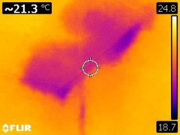 散水後３時間後の天井の赤外線画像