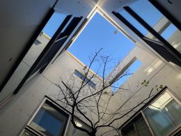 荒川区　打放しコンクリート再生
