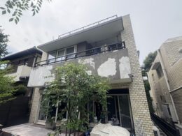 目視よりはるかに大きく塗膜をはがしました