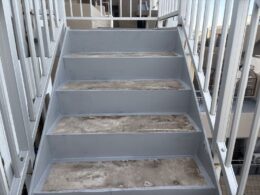 ダンジオーラE下塗り塗装後