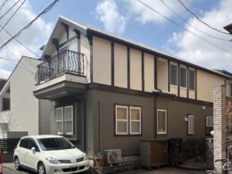 ナノコンポジットW