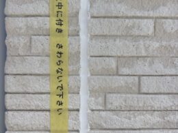 養生
