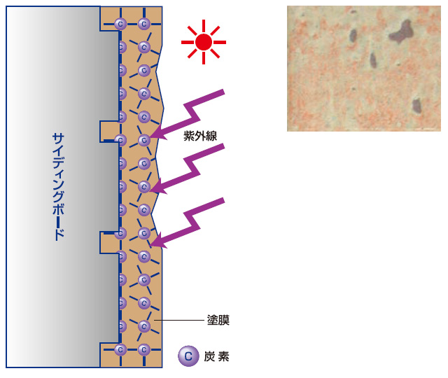 一般的な塗装の場合